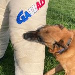 Pantalon semi-entraînement