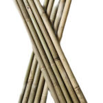 Bâton bambou brut