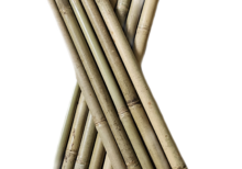 Bâton bambou brut